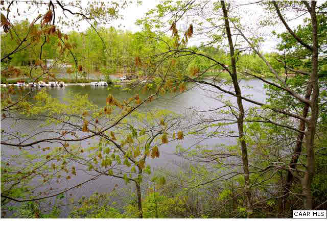 57 Laguna Road Palmyra, VA 22963 - Photo 16 of 32 a black and white photo of a lake