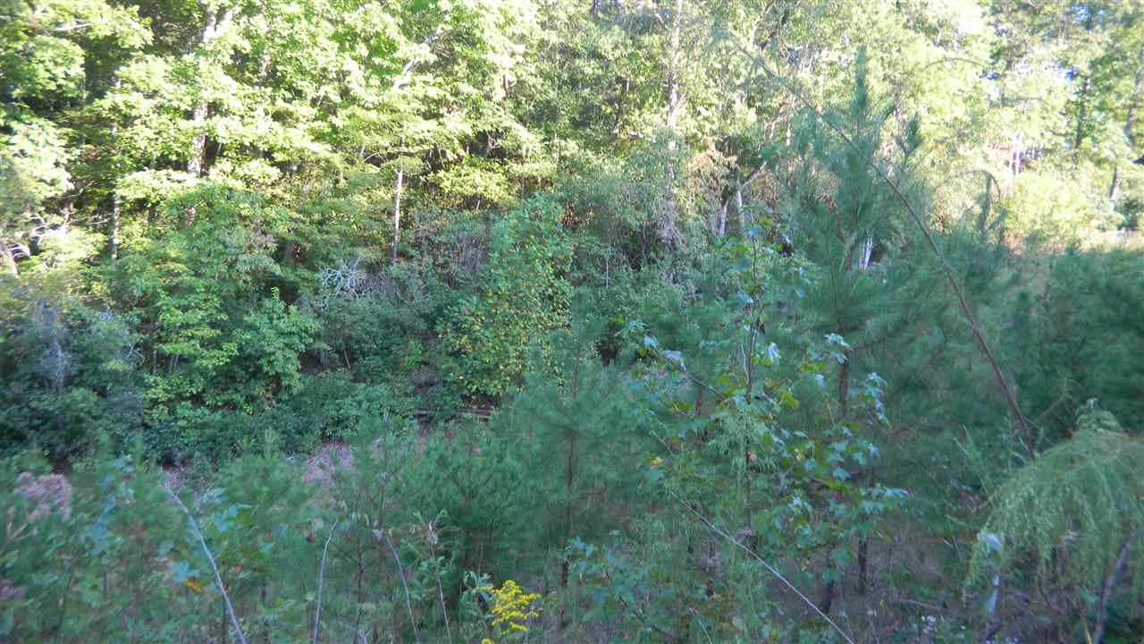 Oconee Station Road Walhalla, SC 29691 - Photo 8 of 29 Gallery Image 8