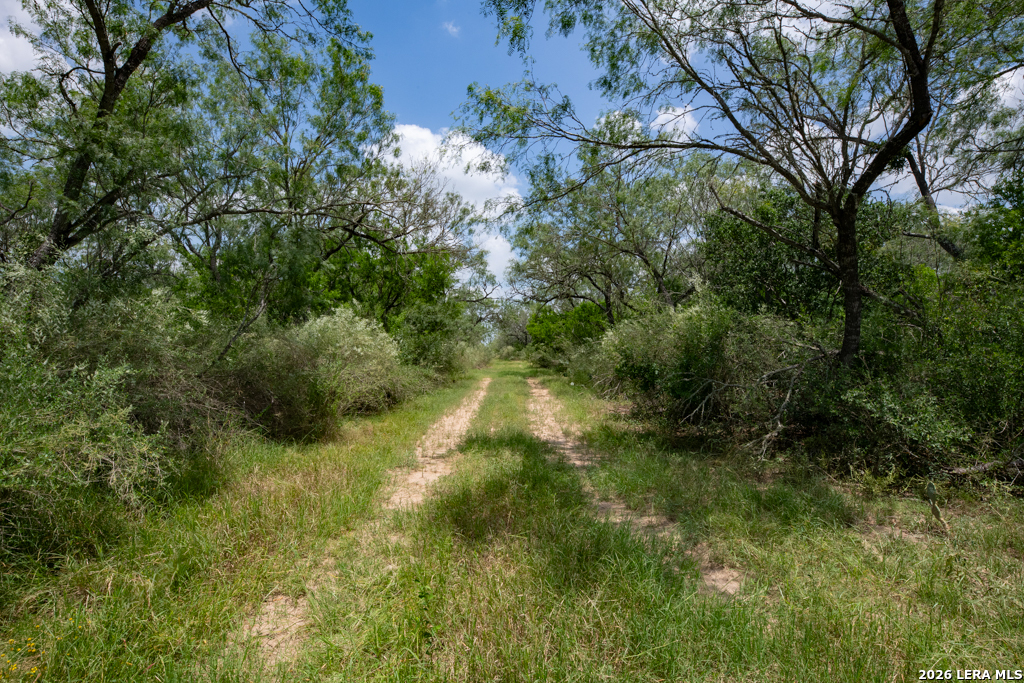 1393 Fox Trotter Road Seguin, TX 78155 - Photo 17 of 46