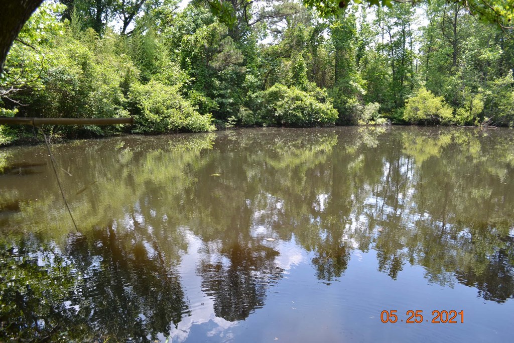 4 Old Crawford Road Phenix City, AL 36870 - Photo 12 of 47 Gallery Image 12