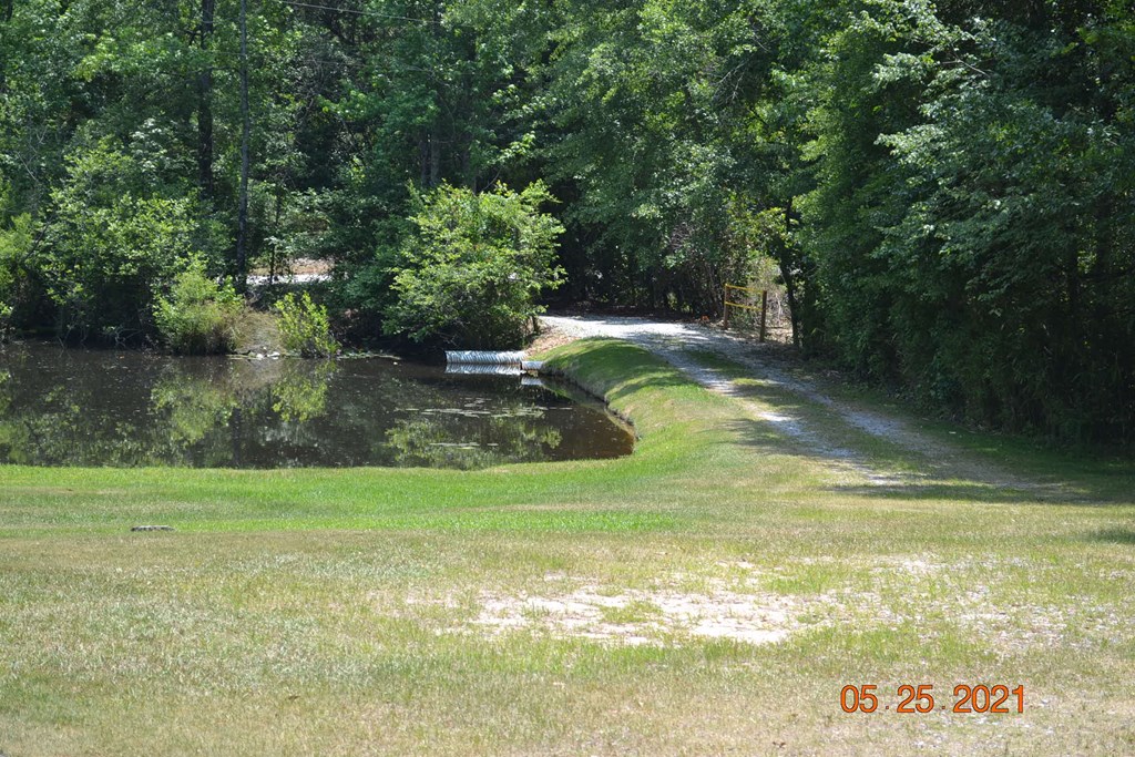 4 Old Crawford Road Phenix City, AL 36870 - Photo 5 of 47 Gallery Image 5