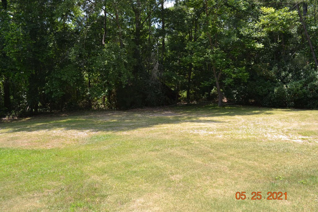 4 Old Crawford Road Phenix City, AL 36870 - Photo 6 of 47 Gallery Image 6