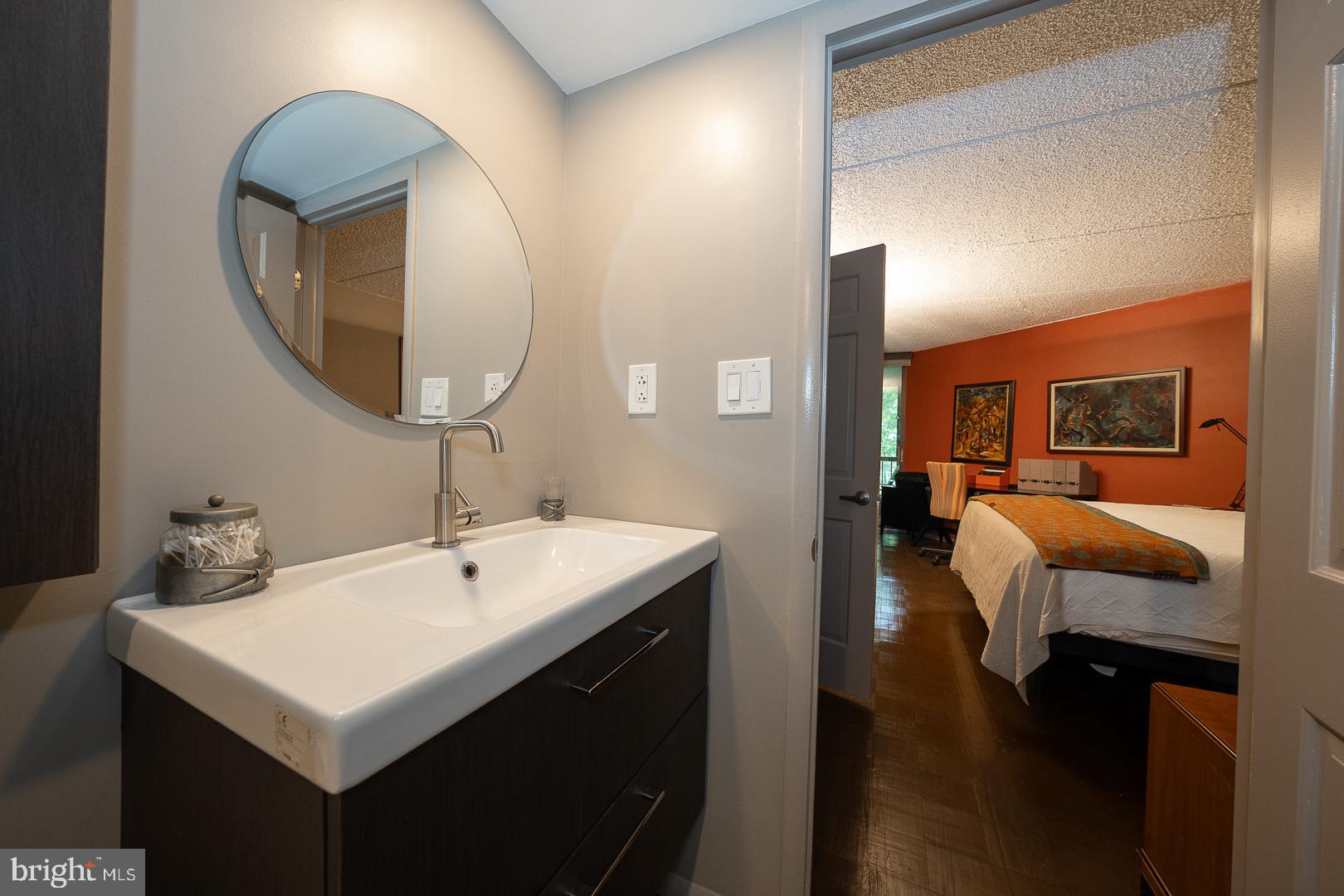 19 Rock Hill Road, Unit 1F Bala Cynwyd, PA 19004 - Photo 21 of 35 a bathroom with a sink and a mirror