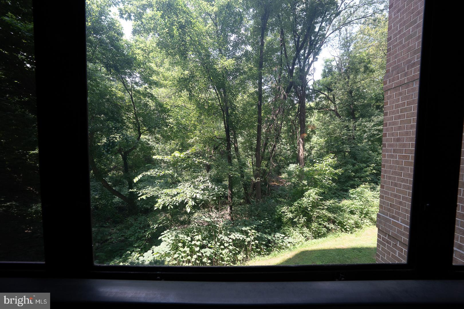 19 Rock Hill Road, Unit 1F Bala Cynwyd, PA 19004 - Photo 34 of 35 a view of forest