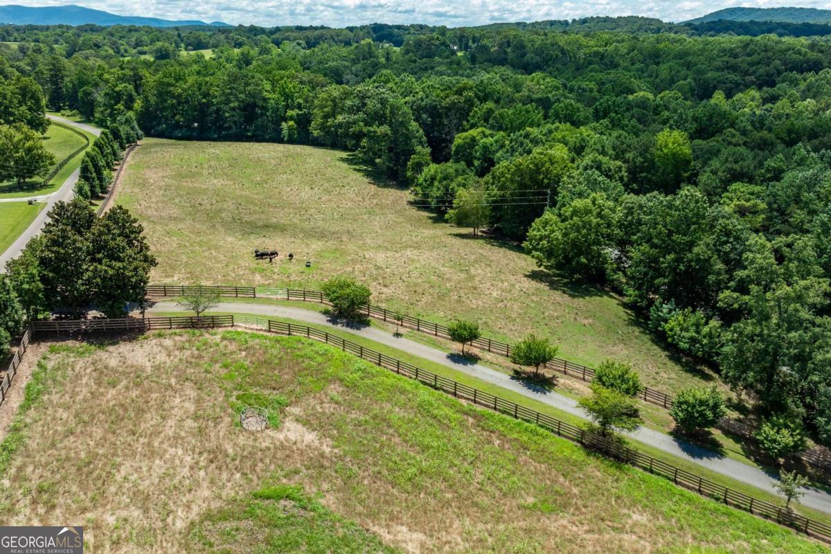 755 Harris Road Jasper, GA 30143 - Photo 3 of 62