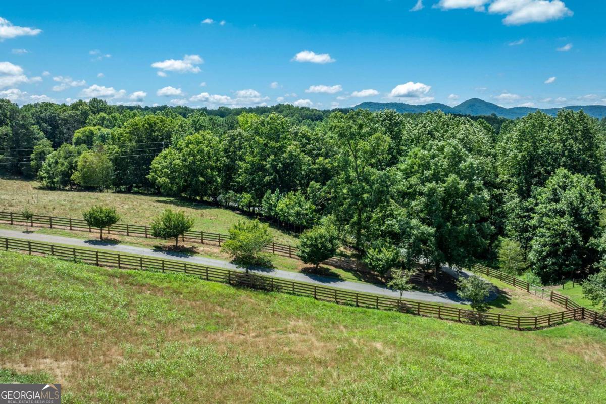 755 Harris Road Jasper, GA 30143 - Photo 50 of 62