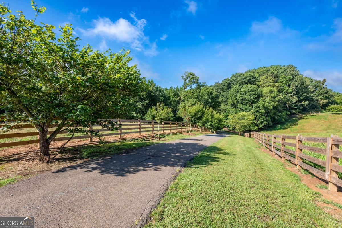 755 Harris Road Jasper, GA 30143 - Photo 5 of 62 a view of a yard with swimming pool