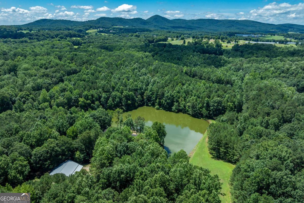 755 Harris Road Jasper, GA 30143 - Photo 51 of 62 a view of a lush green forest with lots of trees