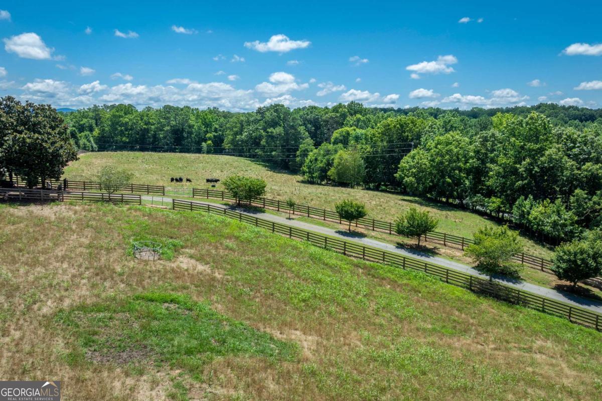 755 Harris Road Jasper, GA 30143 - Photo 59 of 62 a backyard of a house with lots of green space