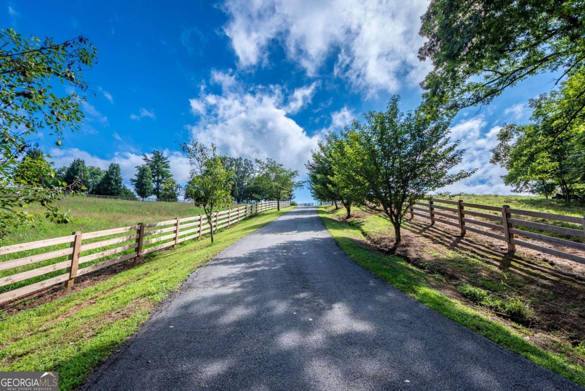 755 Harris Road Jasper, GA 30143 - Photo 6 of 62 a view of a yard with wooden fence