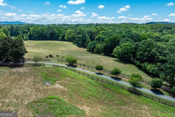 a view of a park with trees