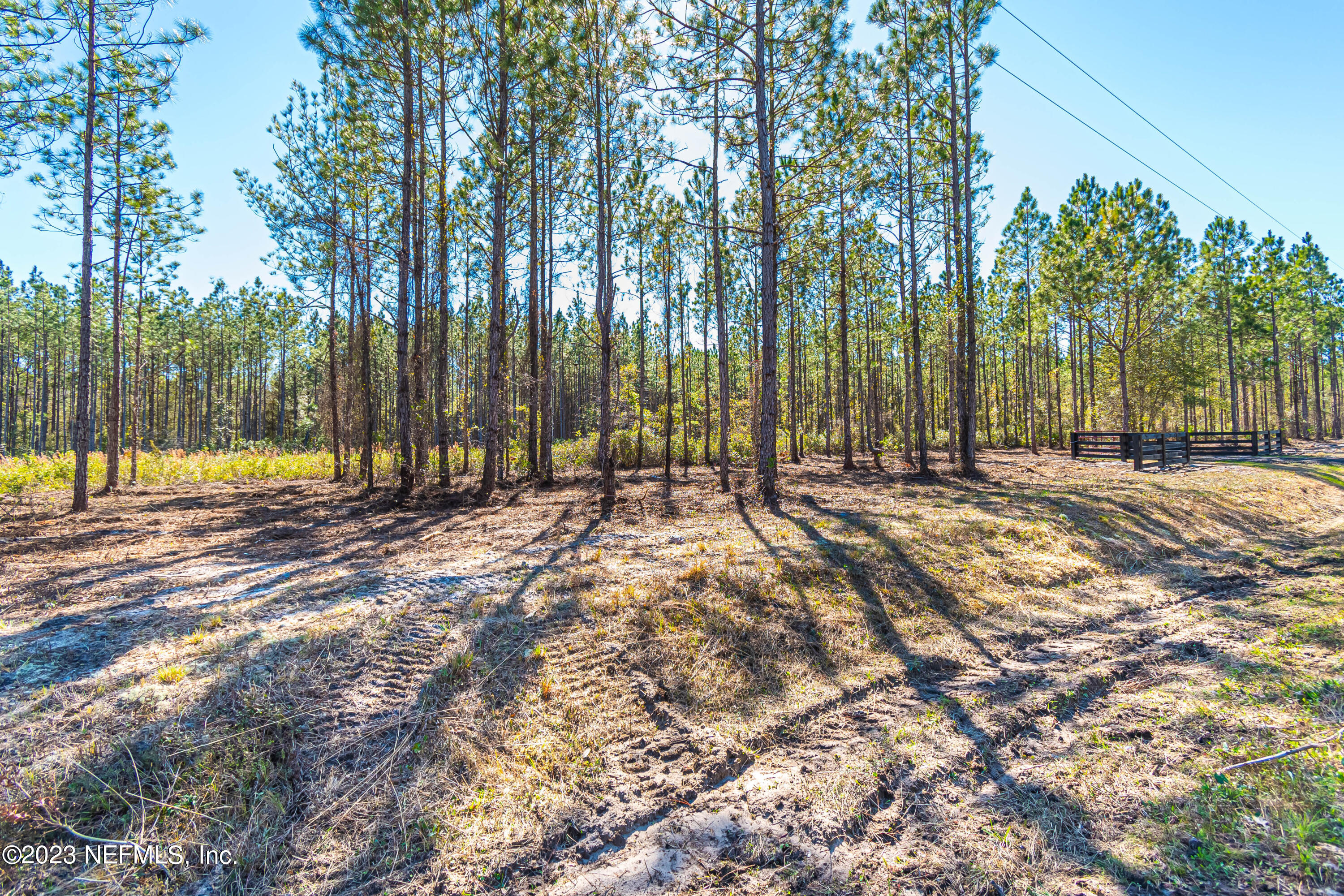 Lot 19 Steel Bridge Road Macclenny, FL 32063 - Photo 1 of 5 untitled-3948