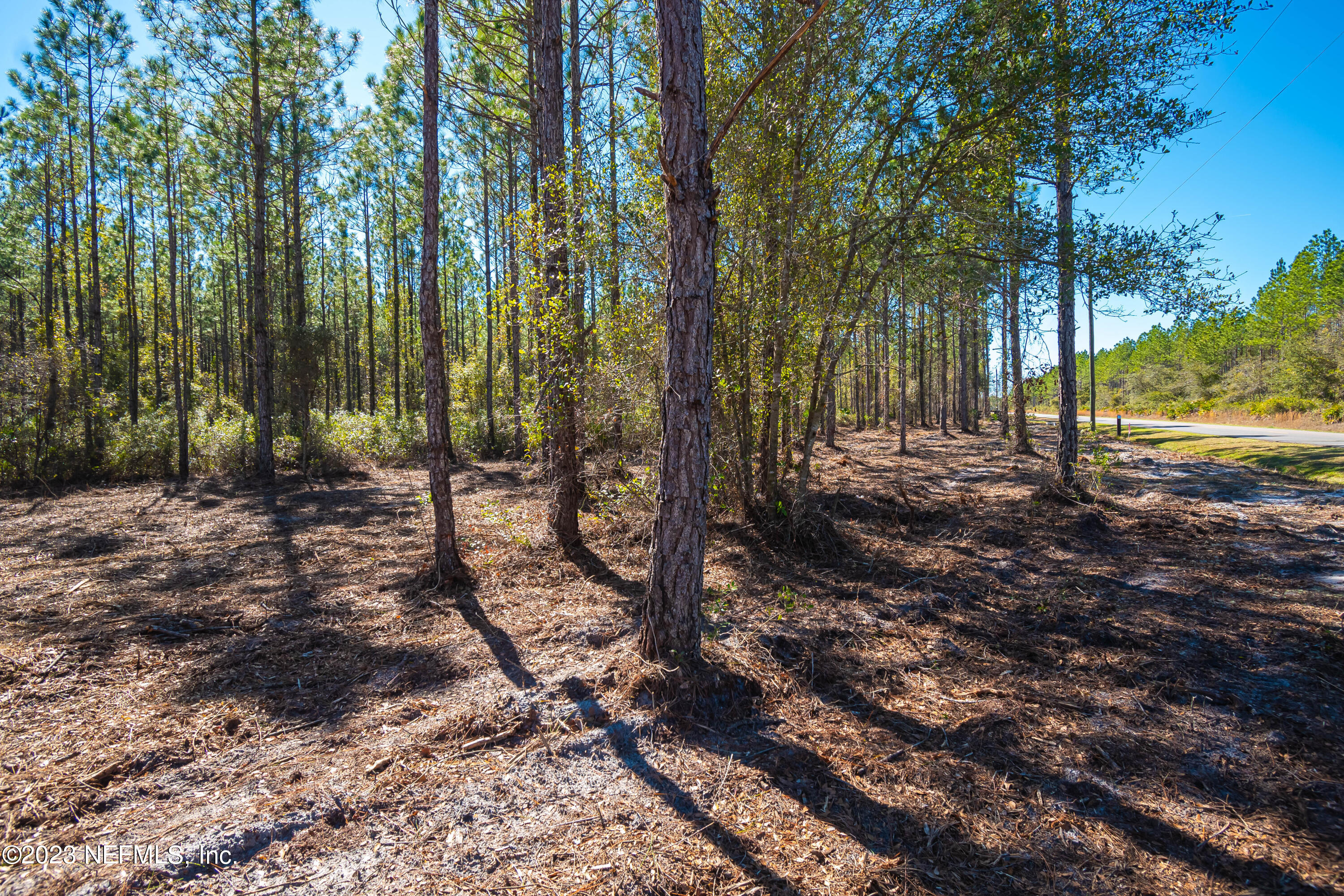 Lot 19 Steel Bridge Road Macclenny, FL 32063 - Photo 2 of 5 untitled-3958