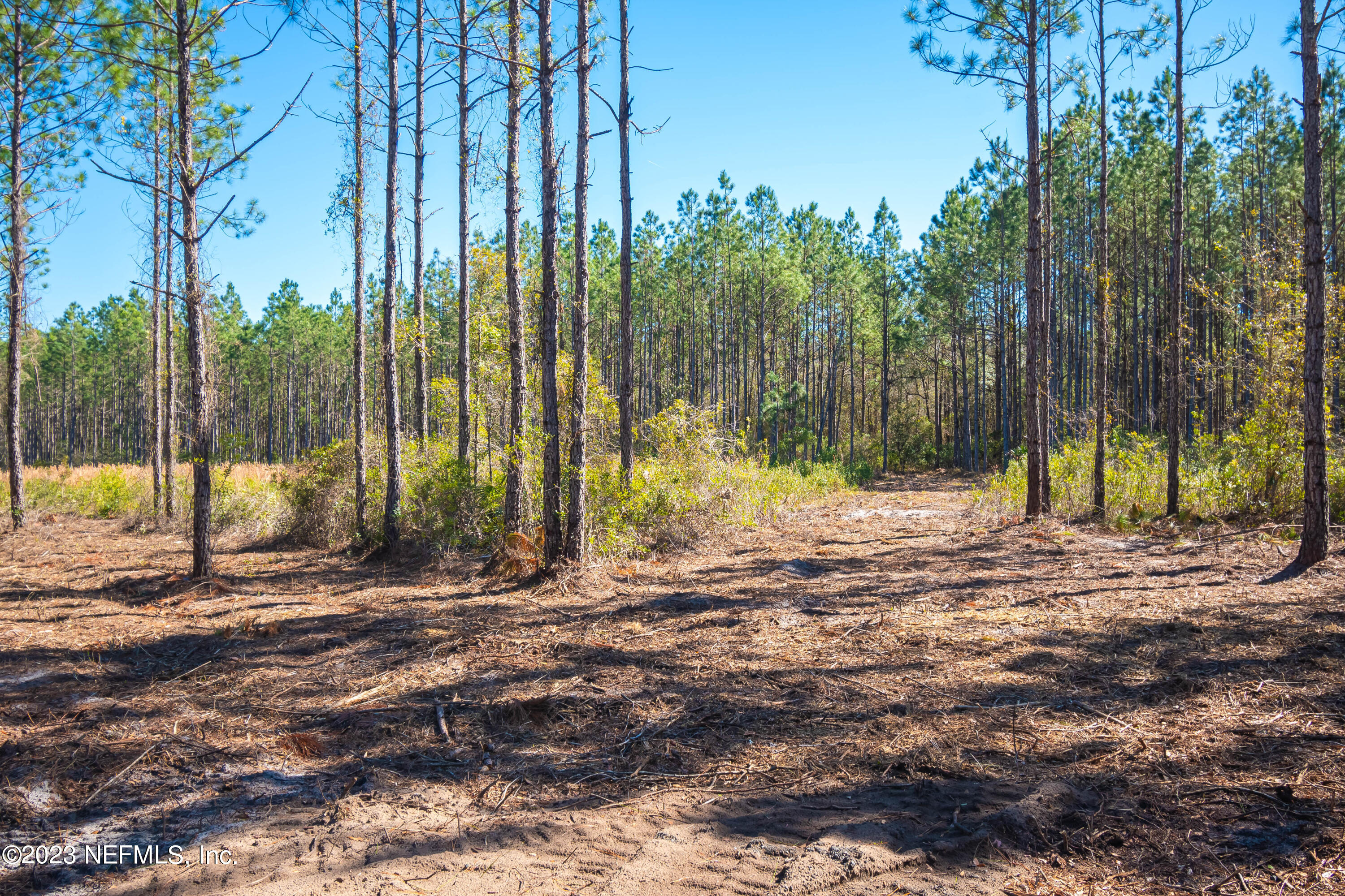 Lot 19 Steel Bridge Road Macclenny, FL 32063 - Photo 4 of 5 untitled-3964