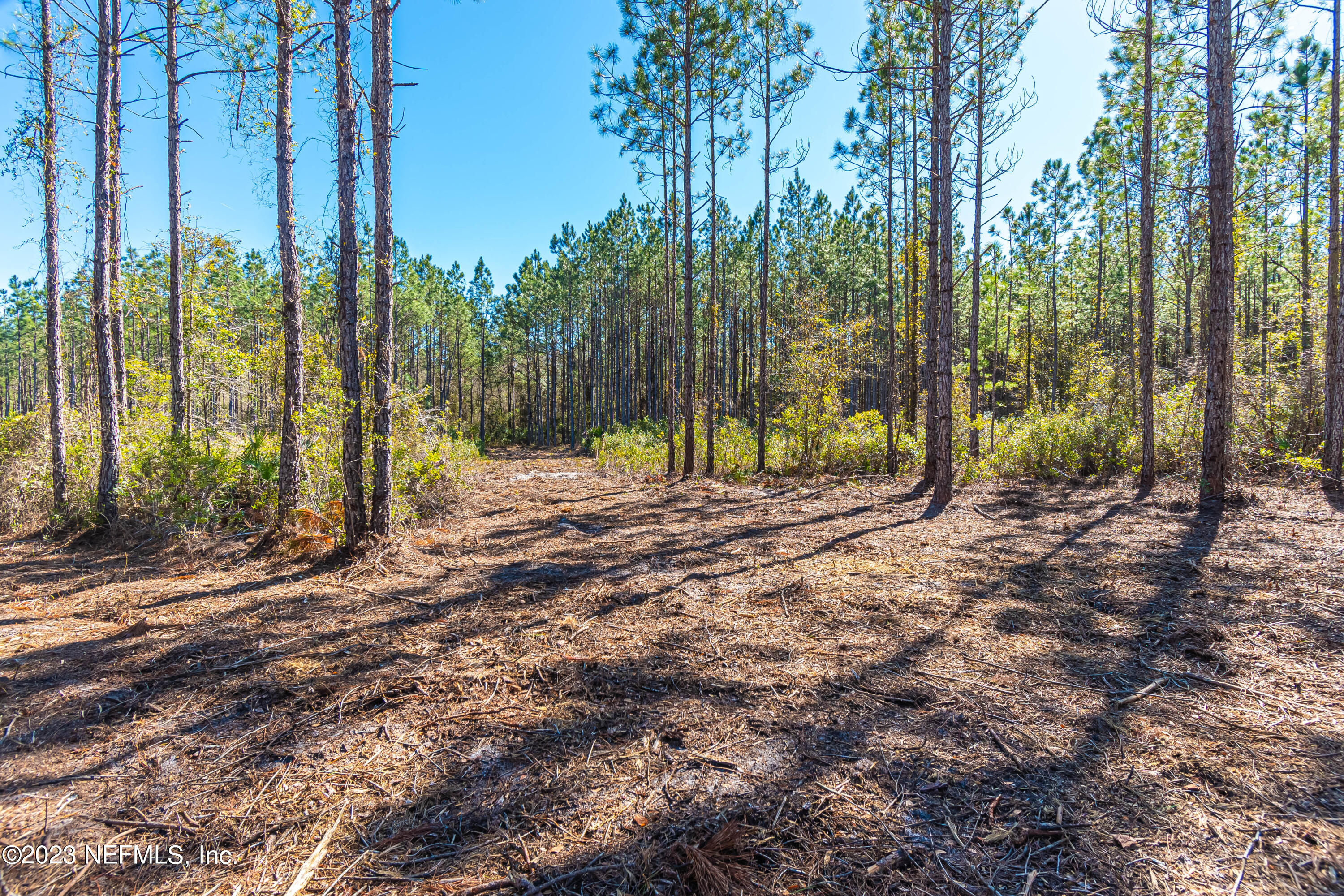 Lot 19 Steel Bridge Road Macclenny, FL 32063 - Photo 5 of 5 untitled-3968