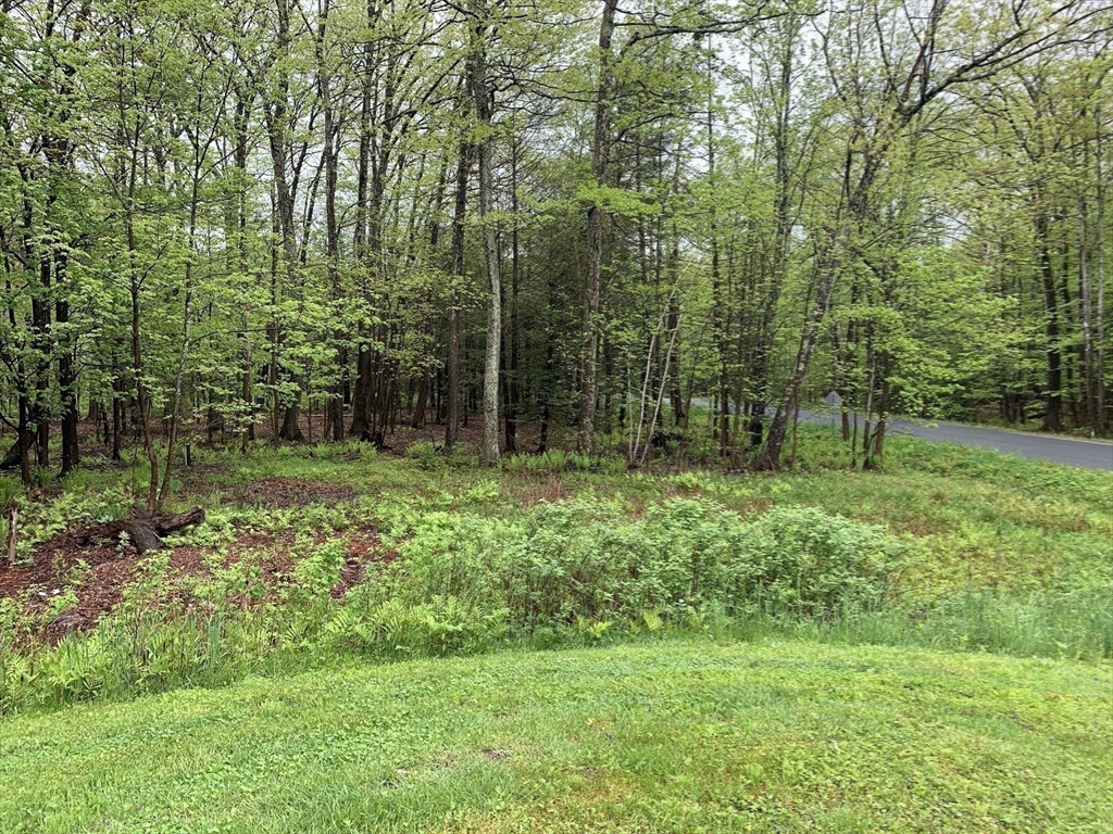912 Creamery Road Ashfield, MA 01330 - Photo 22 of 22
