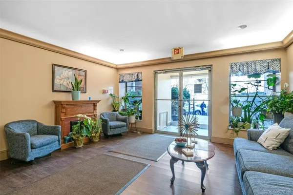 a living room with furniture and a potted plant
