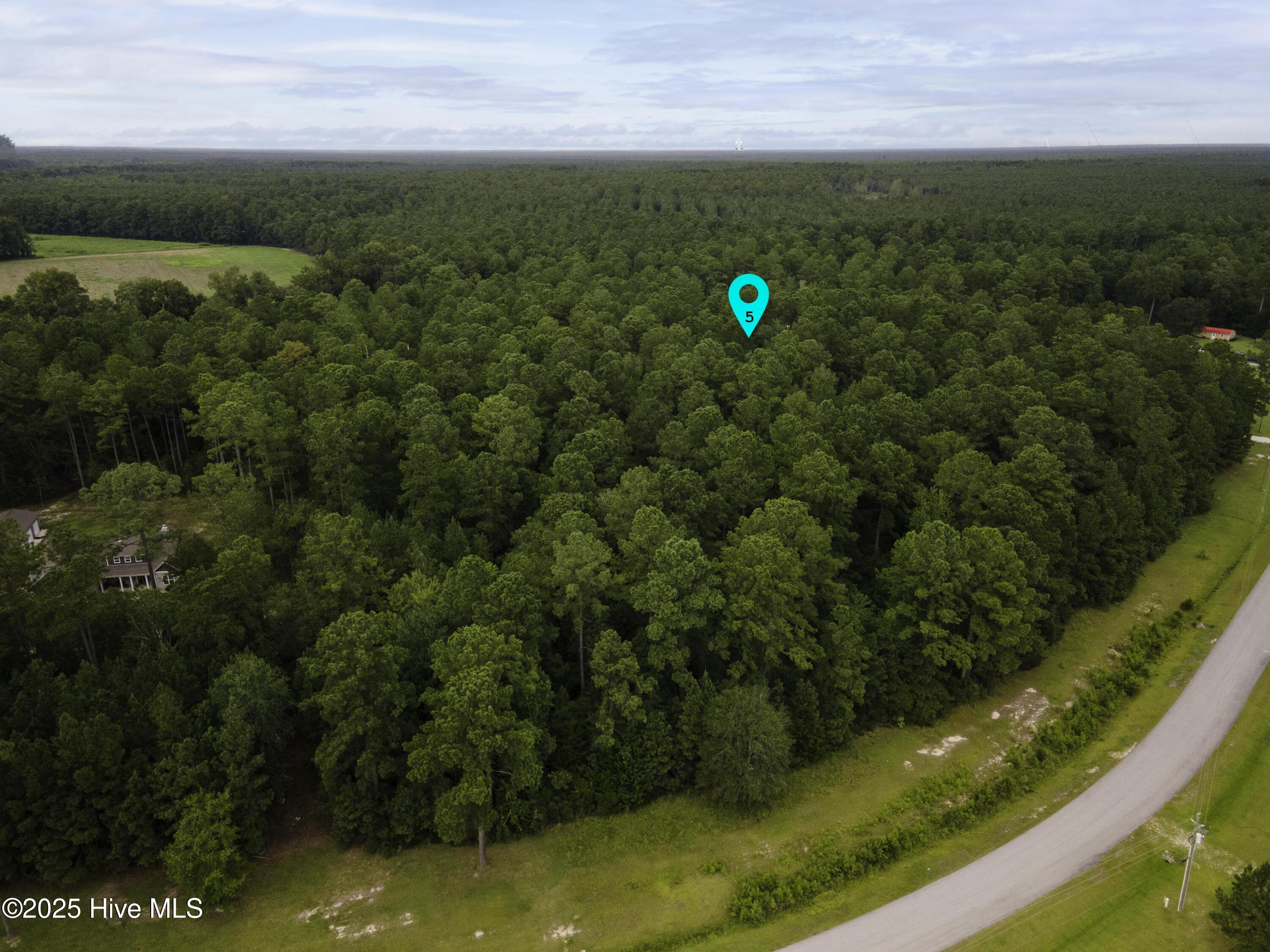 1277 North Bryan Road Jacksonville, NC 28546 - Photo 6 of 17 Lot 5