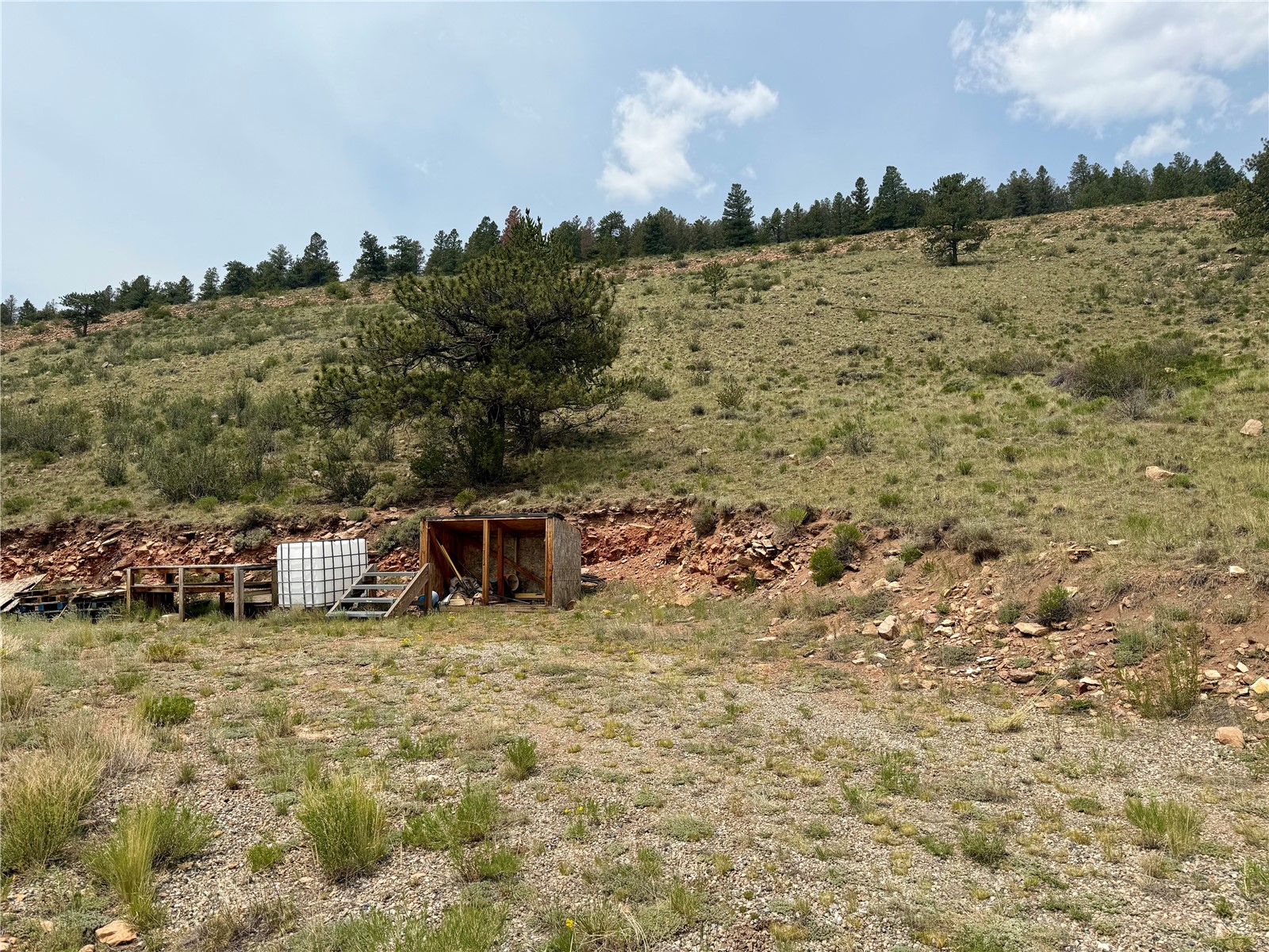 3437 Redhill Road Fairplay, CO 80440 - Photo 37 of 44