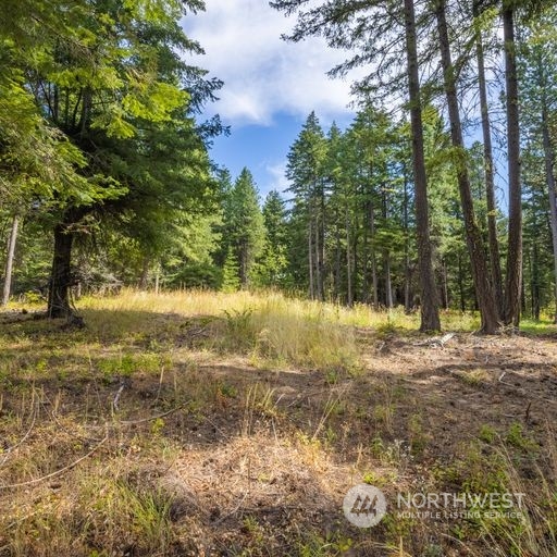 333 Evergreen Valley Loop Road Ronald, WA 98940 - Photo 1 of 1 Gallery Image 1