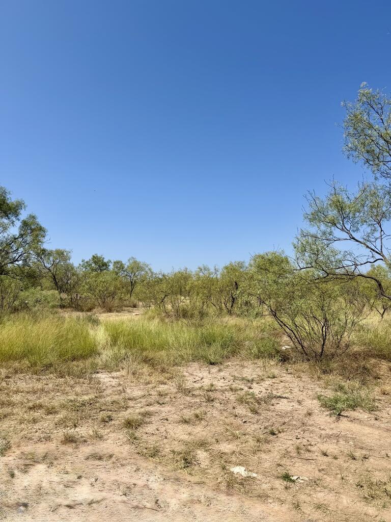 524 South Trap Road Fort McKavett, TX 76841 - Photo 20 of 20 Gallery Image 20