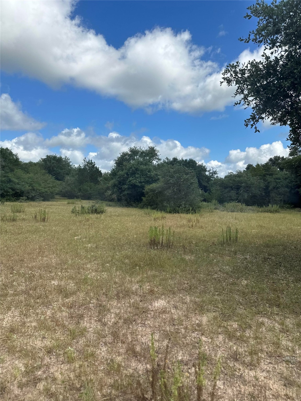 273 Cr 273 Road Sheridan, TX 77475 - Photo 3 of 9 a view of lake with green space