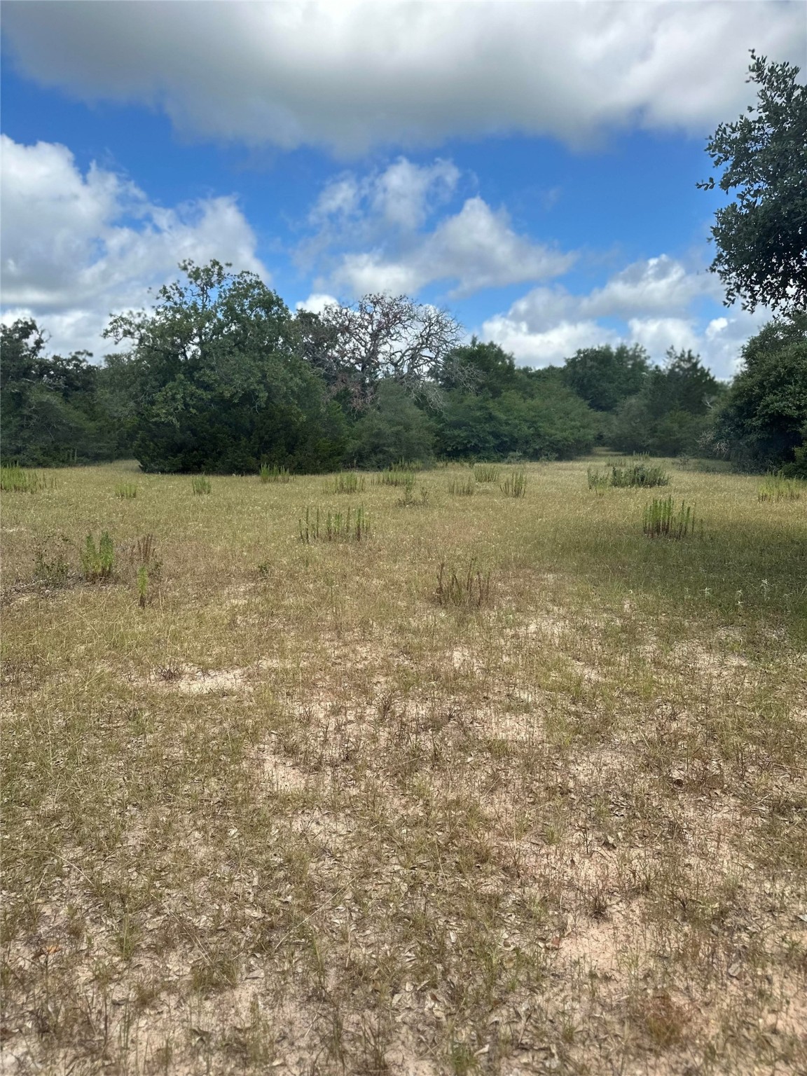 273 Cr 273 Road Sheridan, TX 77475 - Photo 4 of 9 a view of a lake with houses in the back