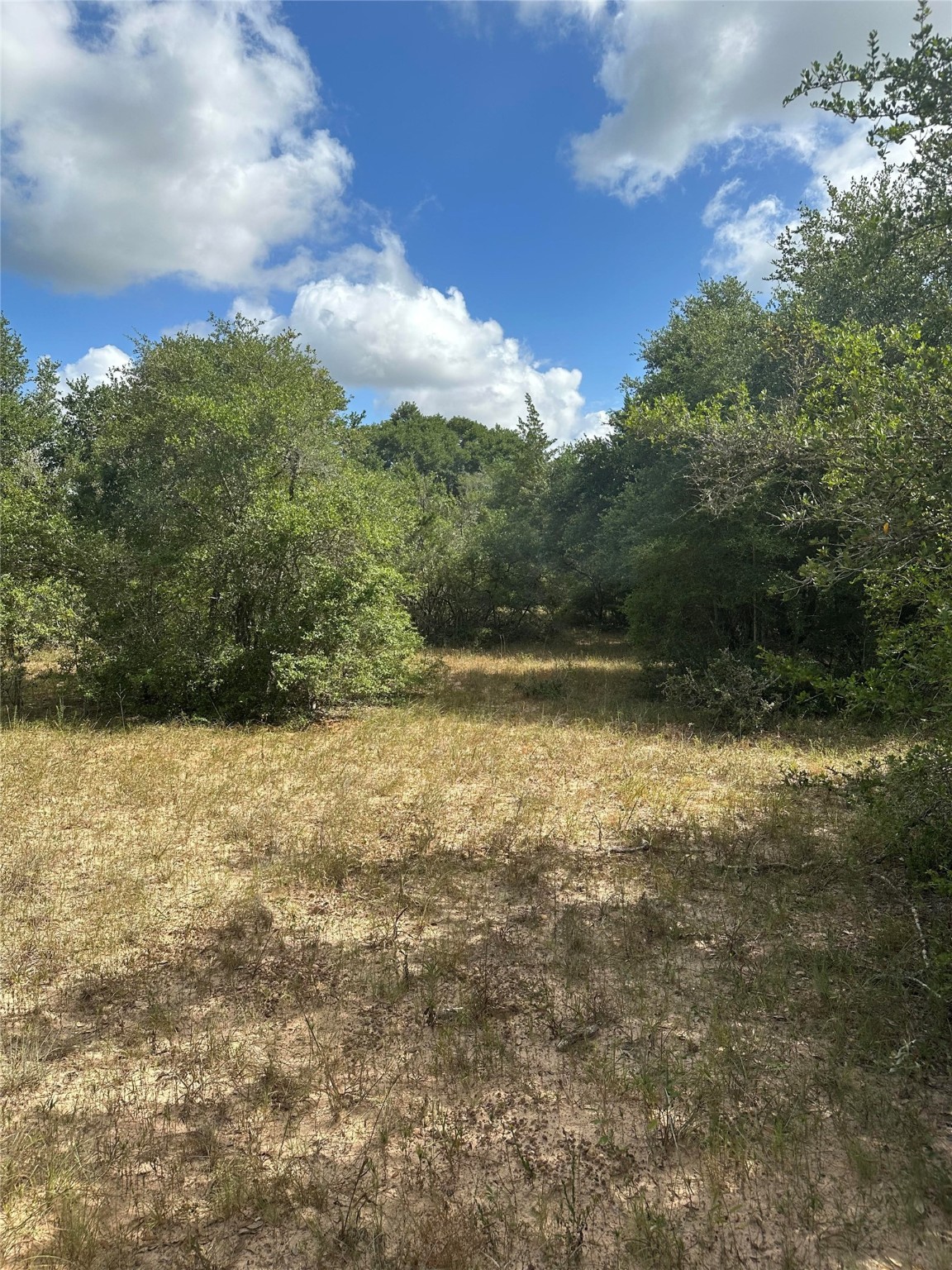 273 Cr 273 Road Sheridan, TX 77475 - Photo 5 of 9 a view of outdoor space and yard