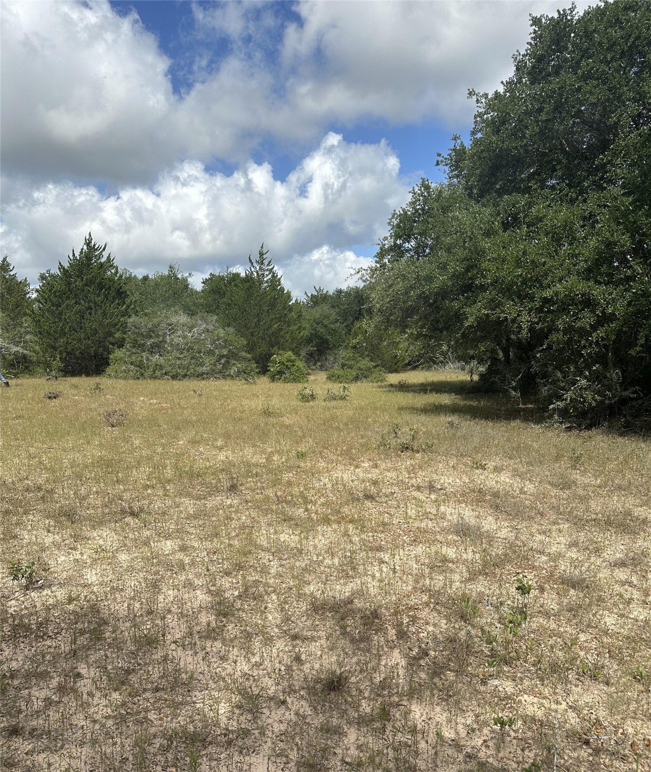 273 Cr 273 Road Sheridan, TX 77475 - Photo 6 of 9