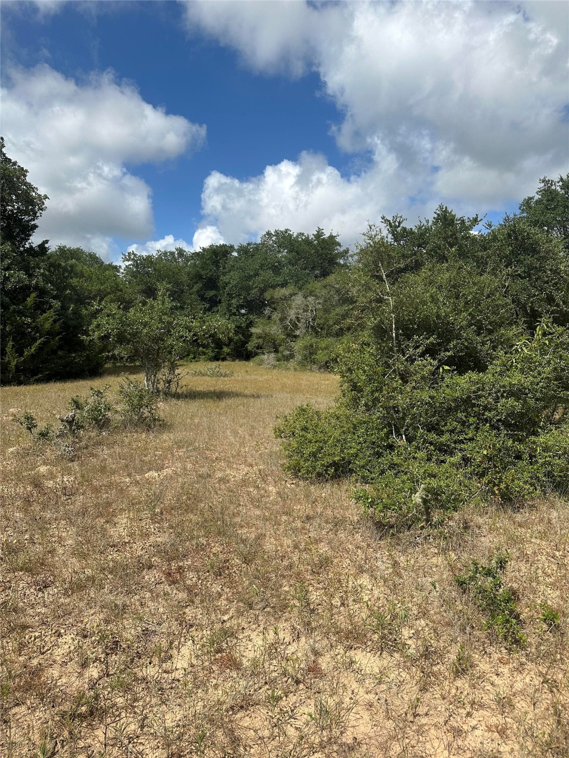 273 Cr 273 Road Sheridan, TX 77475 - Photo 7 of 9 a view of lake with green space
