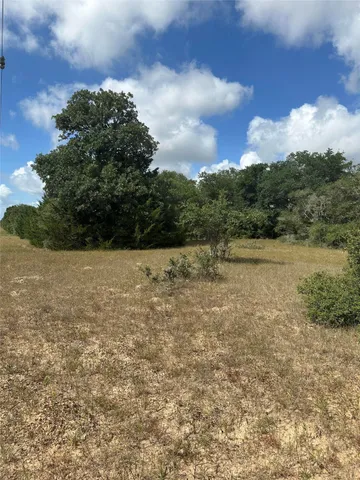 a view of a yard with a tree