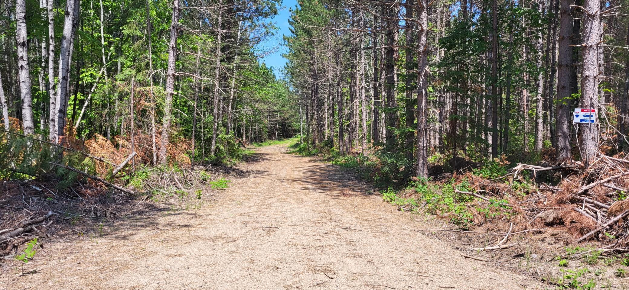 52 Hwy 53 Orr Mn 55771, Orr, MN 55771 | Compass
