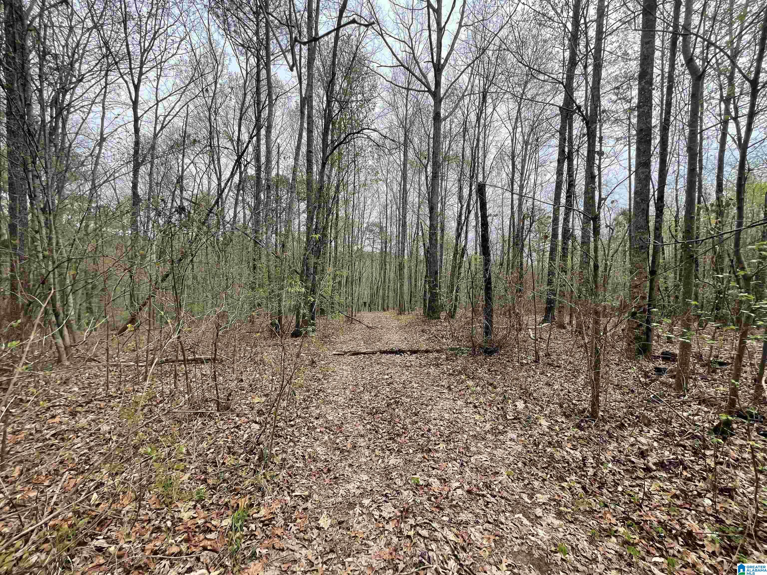 212 Pebble Lane Hayden, AL 35079 - Photo 28 of 33