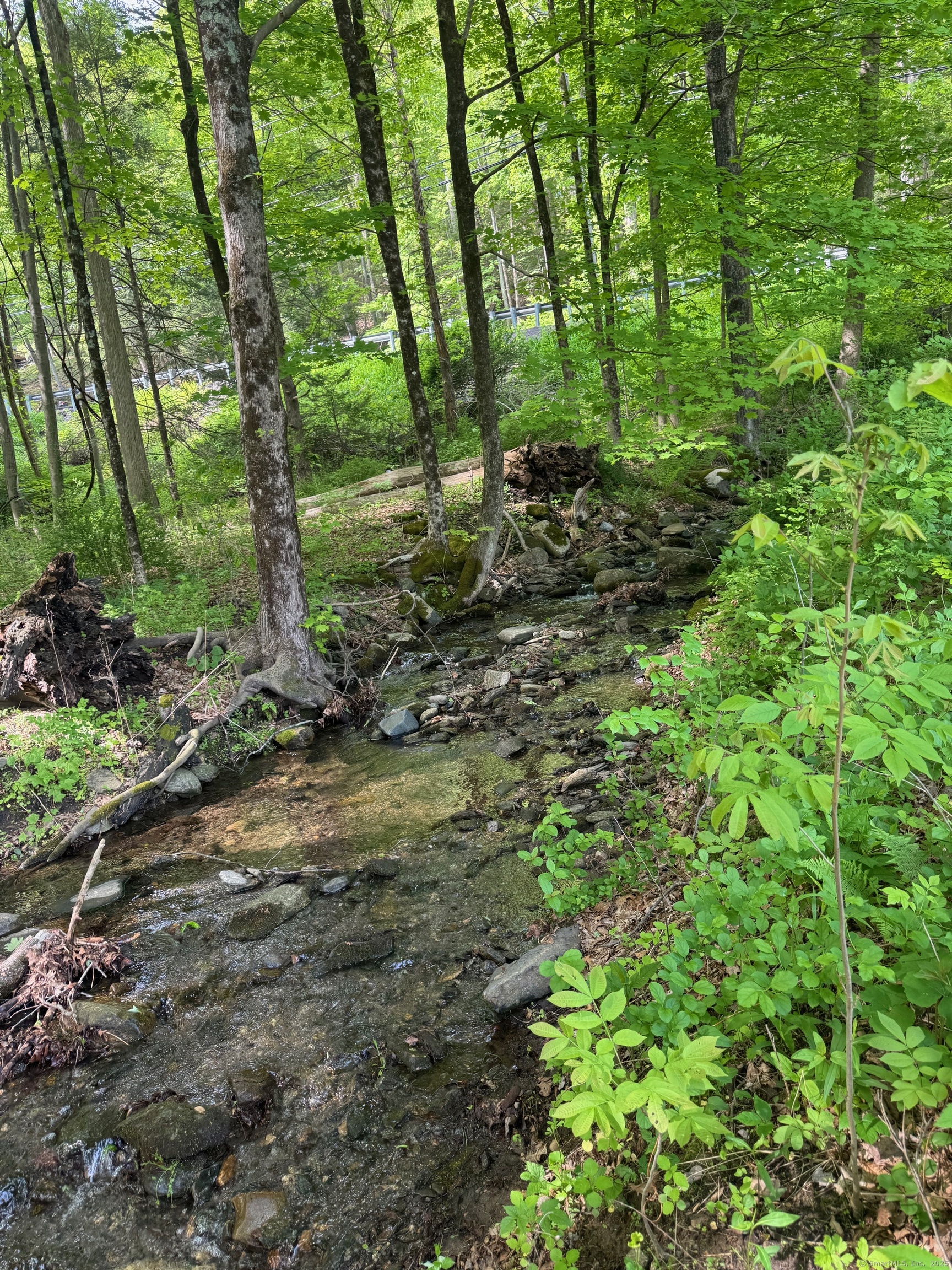 21 Highway 39, Unit A Sherman, CT 06784 - Photo 14 of 15 a backyard of a house with lots of green space