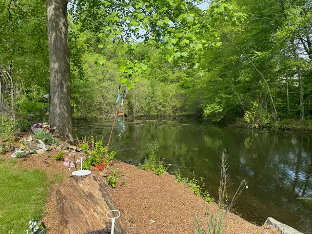 a wooden pier with lake view