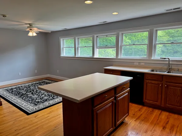 a kitchen with a sink a window and cabinets