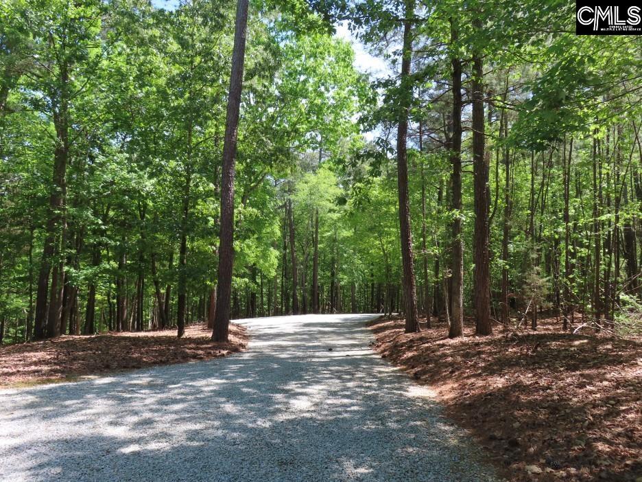 201 State Rd S-20-99 Blair, SC 29015 - Photo 21 of 61