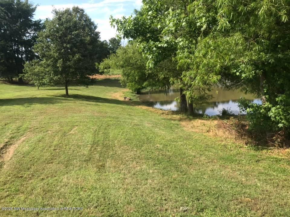 101 Rdg Lk Cove Coldwater, MS 38618 - Photo 25 of 25 IMG_1614