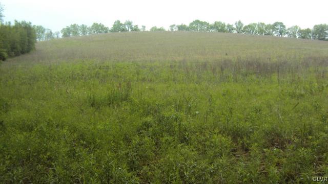 0 West Moorestown Road Bath, PA 18014 - Photo 11 of 25