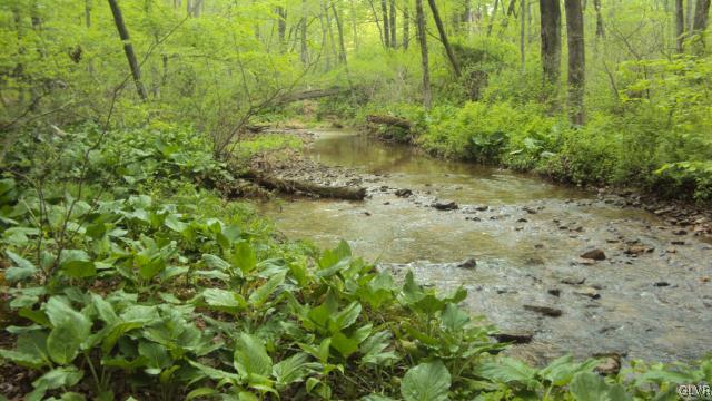 0 West Moorestown Road Bath, PA 18014 - Photo 17 of 25