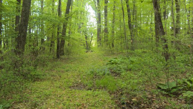 0 West Moorestown Road Bath, PA 18014 - Photo 22 of 25
