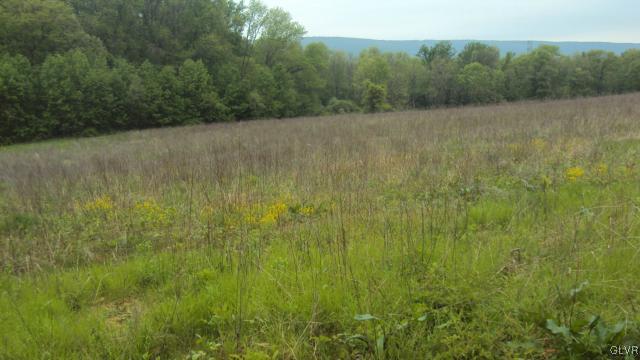 0 West Moorestown Road Bath, PA 18014 - Photo 3 of 25