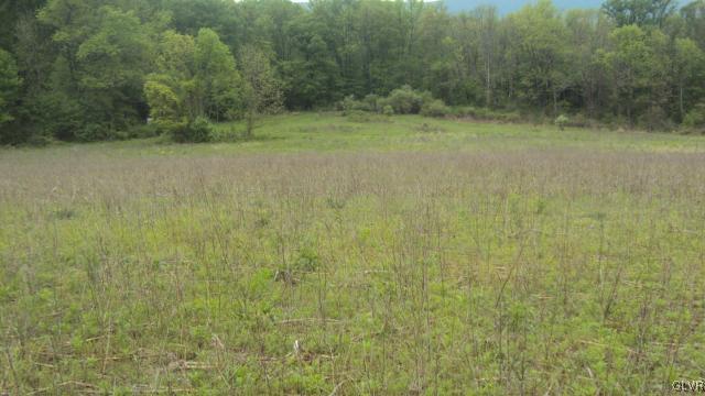 0 West Moorestown Road Bath, PA 18014 - Photo 5 of 25