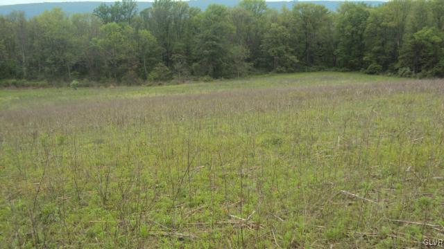 0 West Moorestown Road Bath, PA 18014 - Photo 6 of 25
