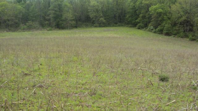 0 West Moorestown Road Bath, PA 18014 - Photo 8 of 25