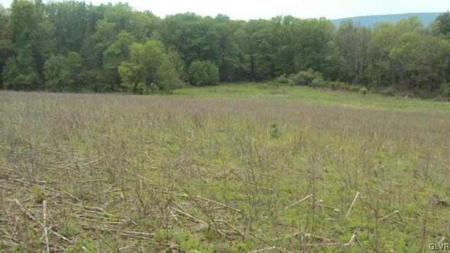 0 West Moorestown Road Bath, PA 18014 - Photo 9 of 25