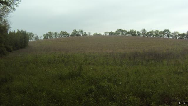 0 West Moorestown Road Bath, PA 18014 - Photo 10 of 25