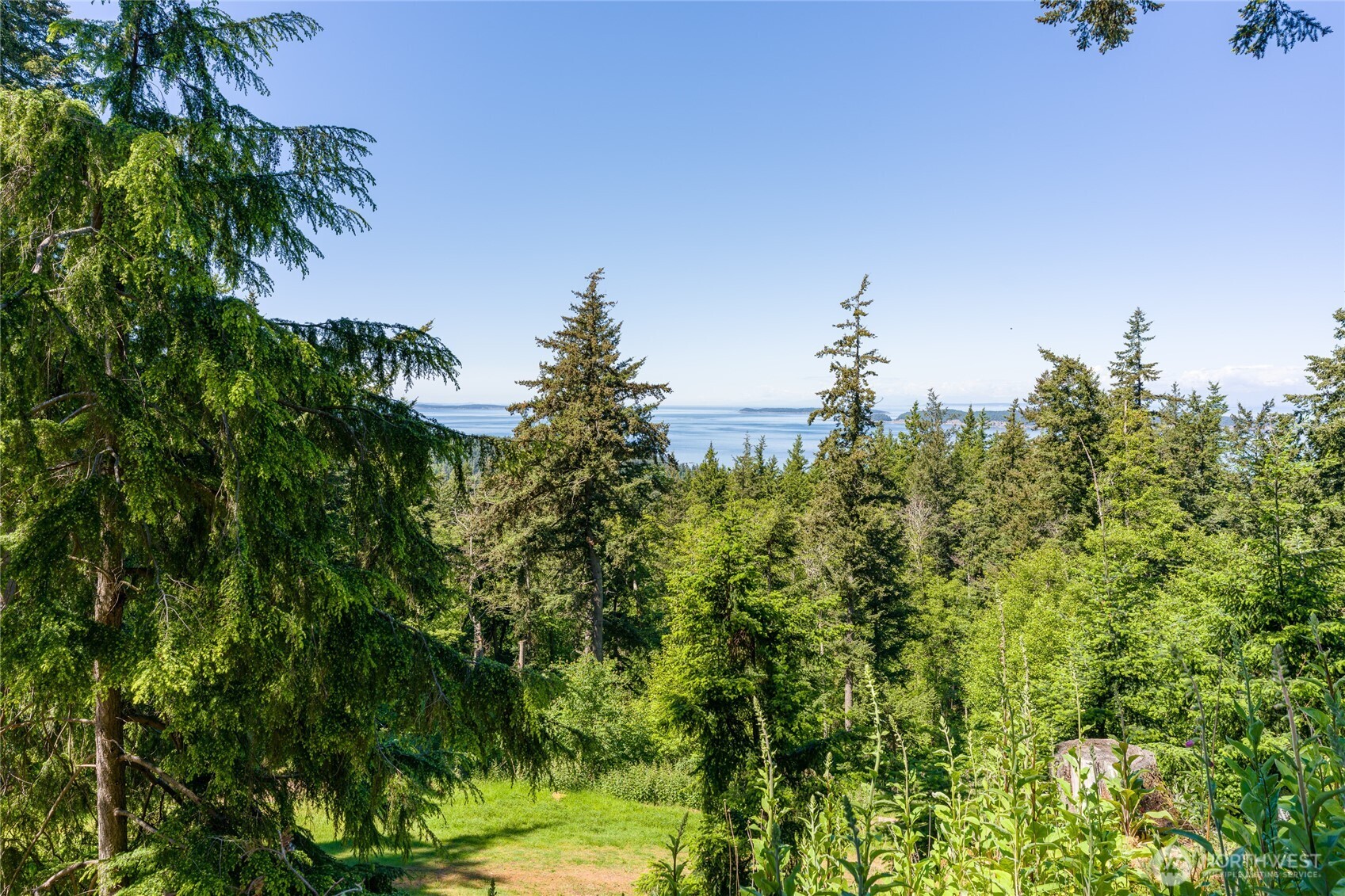 540 Wright Road Orcas Island, WA 98245 - Photo 6 of 40