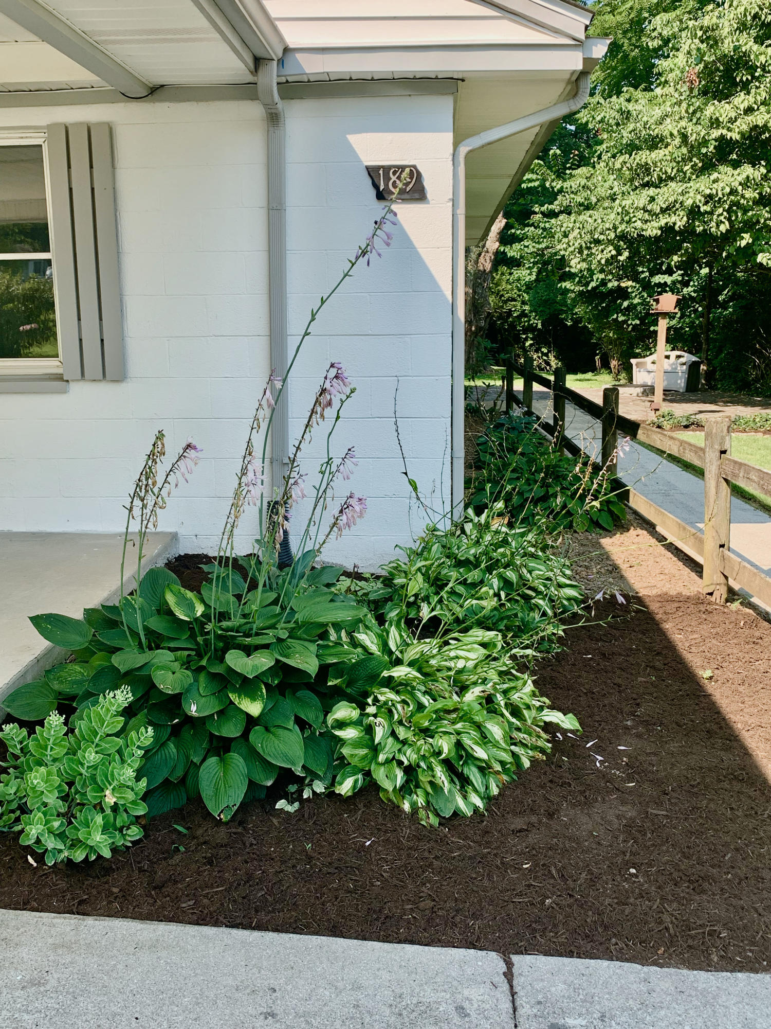 189 South Purdue Avenue Oak Ridge, TN 37830 - Photo 22 of 25 IMG_6659