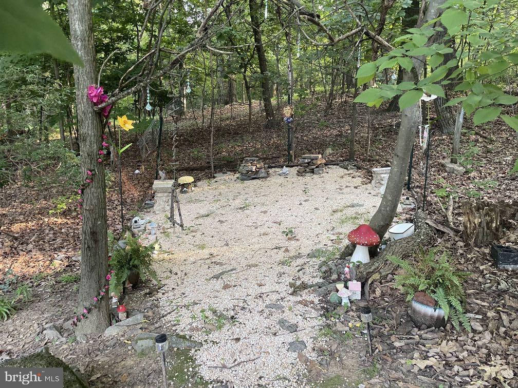 604 Rocky Ridge Road Spring Grove, PA 17362 - Photo 6 of 47 Enchanted woodland retreat awaits you.